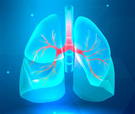 Career Connect | Home