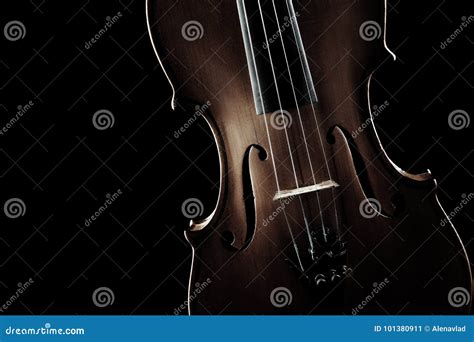 Image result for String Instruments
