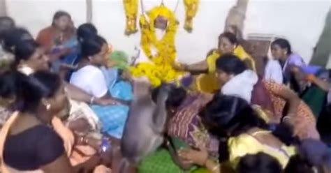 Monkey Gatecrashes Funeral, Consoles Grieving Woman And Gives Her A ...