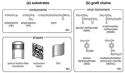 Recent Progress in Charged Polymer Chains Grafted by Radiation-Induced ...