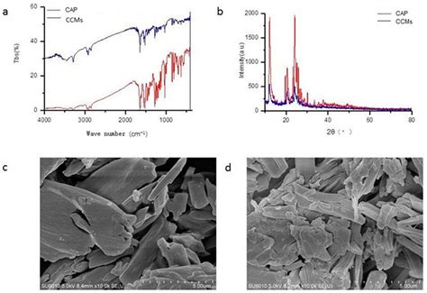 Microencapsulation of Capsaicin in Chitosan Microcapsules: Characterization, Release Behavior ...