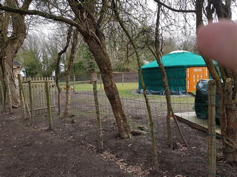 DOMAINE DES YAIS (Herbignac) - Guesthouse Reviews & Photos - Tripadvisor