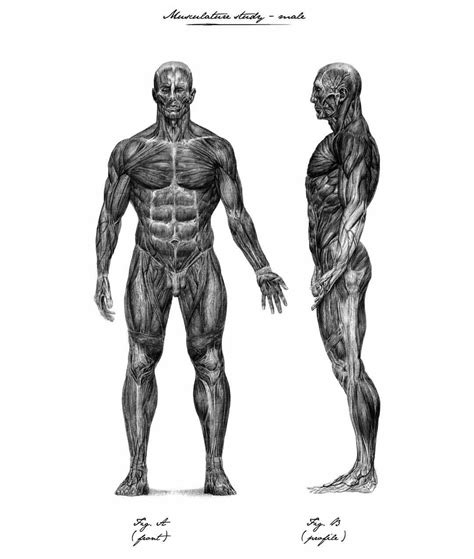 Image result for Alien Covenant Shaw