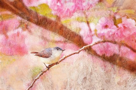 bird by bird quotes