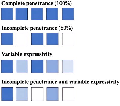 2024 ASHG presidential address: Incomplete penetrance and variable ...