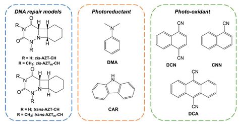 Theoretical Study on the Photo-Oxidation and Photoreduction of an ...