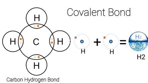 Image result for Covalent Bond Types