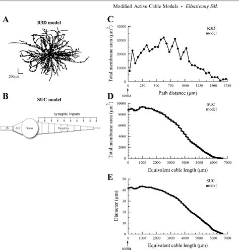 Development Cable Model 的图像结果