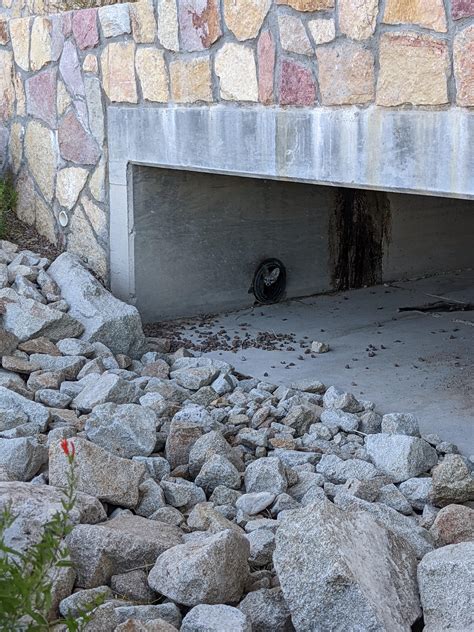 El Paso Strip Club Scene : ElPaso