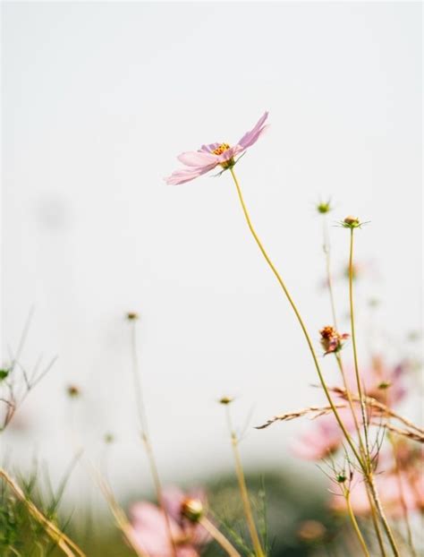 Image result for Write About Spring