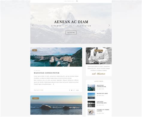 Image result for Blog Theme Using HTML