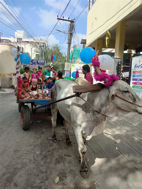 Bullock Cart Ride | First School