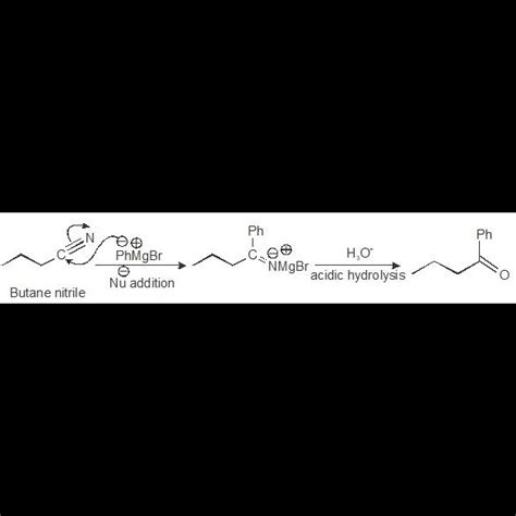 The major product formed in the reaction of butanenitrile with ...