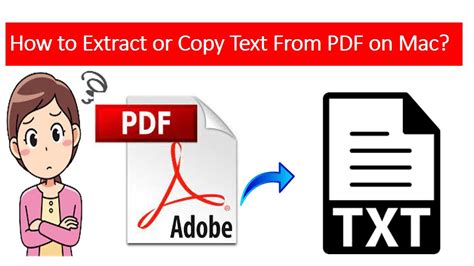 Image result for How to Capture Text From a PDF File