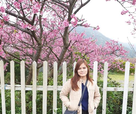 Image result for Spring Hope Reflection