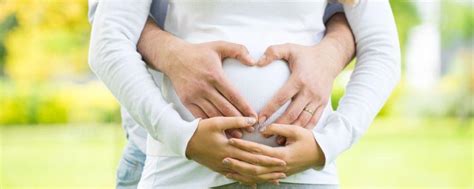 怀孕23周胎儿发育 - 知乎