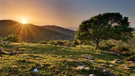 Nature Aesthetic Wallpaper 的图像结果