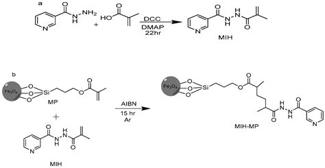 Isoniazid Conjugated Magnetic Nanoparticles Loaded with Amphotericin B ...