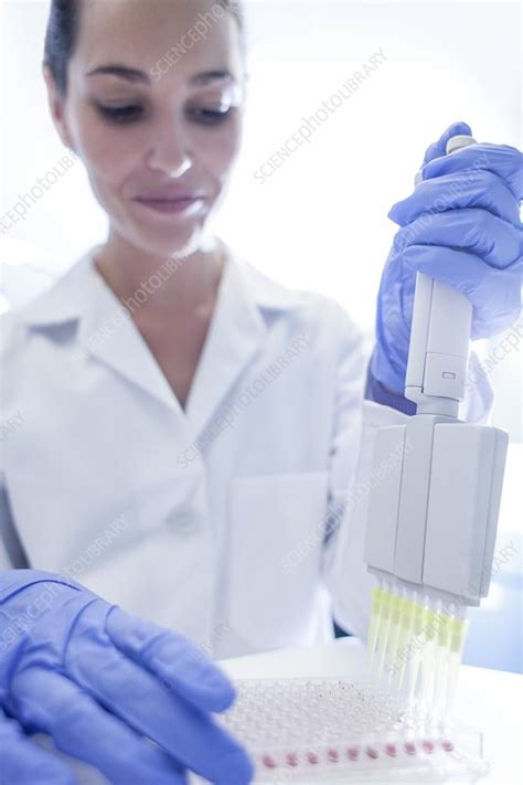 Image result for Lab Assistant App Only Question Pattern