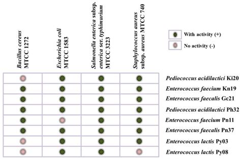 Probiotic Properties of Lactic Acid Bacteria Isolated from the ...