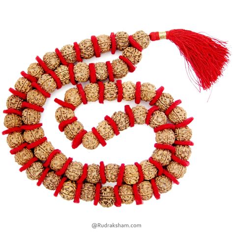 Rudraksha/Rudraksha Mala/Panchmukhi Mala – Rudraksham