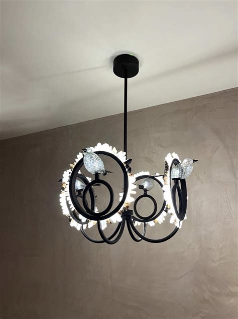 Aristocrat – Emanate Home