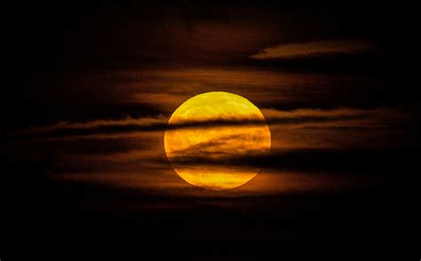 Eclissi lunare e Luna Piena oggi 28 ottobre 2023: a che ora e dove ...