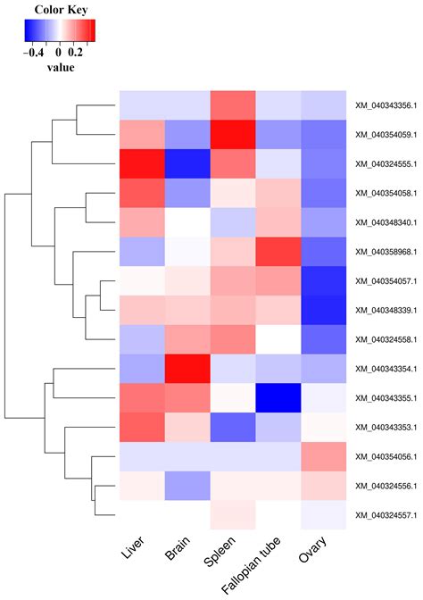 Transcriptome Analysis Reveals Cross-Tissue Metabolic Pathway Changes ...