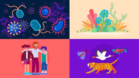 Rezultat imagine pentru CRISPR Explained