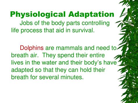 PPT - Survival Tactics: Animal Adaptations in Wildlife PowerPoint ...