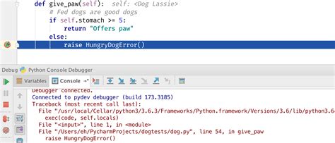 PyCharm Debugger 的图像结果