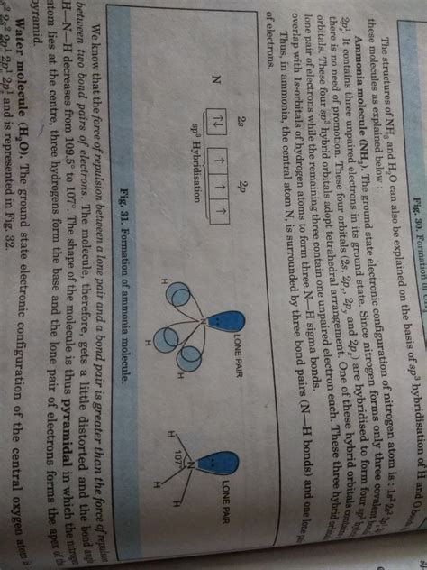 Describe the shape of NH3 as per V.S.E.P.R model - Brainly.in