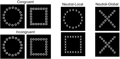 Global Local Task 的图像结果