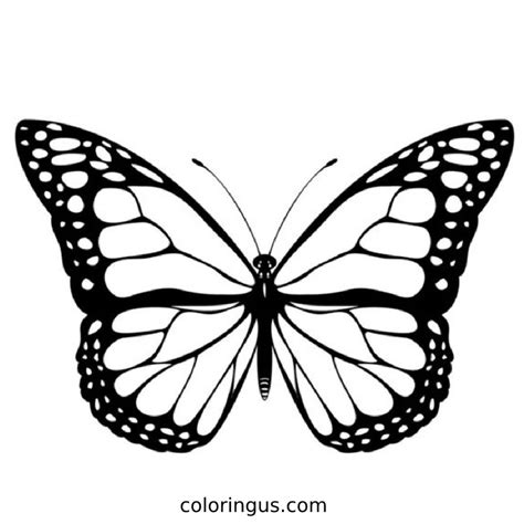 Monarch Butterfly Coloring Pages (Free Printable PDF)