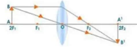 Draw a ray diagram showing the position and nature of image formed ...