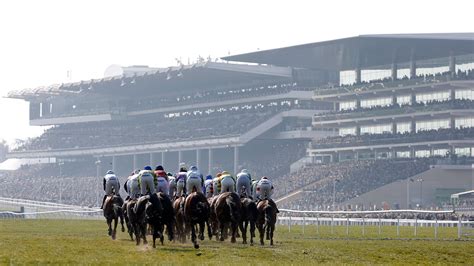 Cheltenham two-mile chases recommended for field size reduction after ...