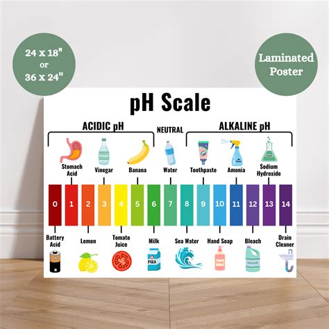 Image result for pH Scale Chart Printable