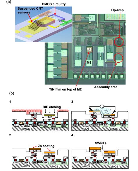 CMOS Chip 的图像结果