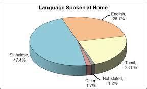 What type of language speak in sri lanka? - Brainly.in