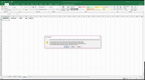 Image result for Excel Name and Address Input Form