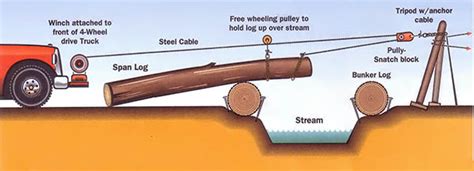 Image result for Homemade Log Bridge