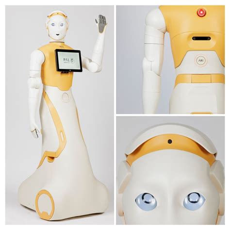 Pal Robot 的图像结果