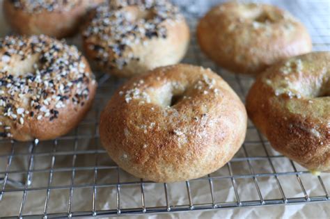 Fresh Milled Whole Grain Bagel Recipe - Generation Acres Farm