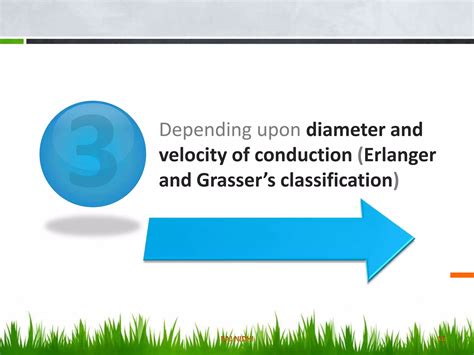 classification of nerve fibers | PPTX