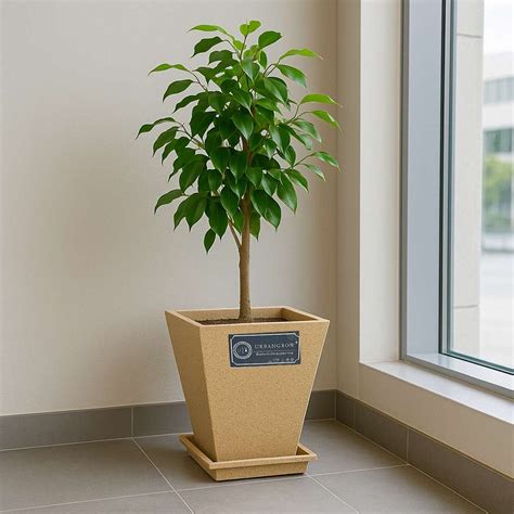 Best Plastic Pots Manufacturer in Delhi - Grow Green