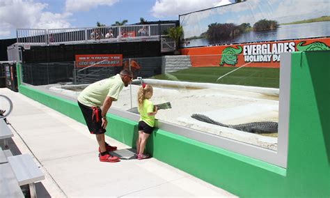 Everglades Holiday Park/Airboat Tours in Fort Lauderdale | VISIT FLORIDA