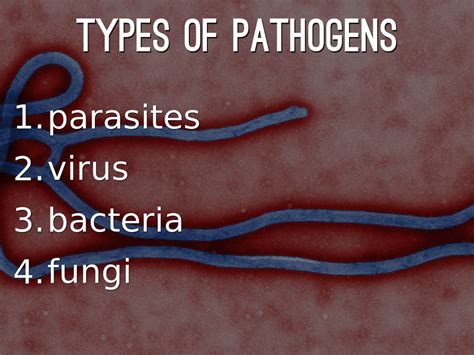 Image result for Different Types of Pathogens