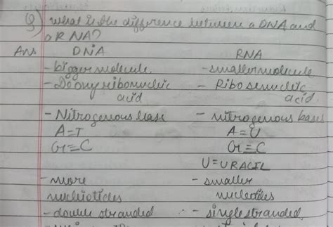 what is difference between DNA and RNA - Brainly.in