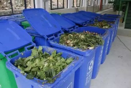 果蔬垃圾不当处理的危害?“蔬菜垃圾”能否变废为宝?