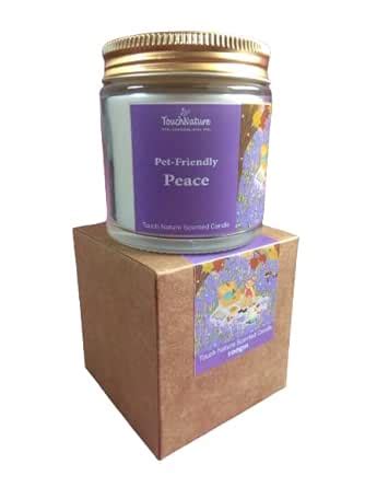 Touch Nature Pet Friendly Soy Wax Jar Candle. 100gm (Peace) : Amazon.in ...